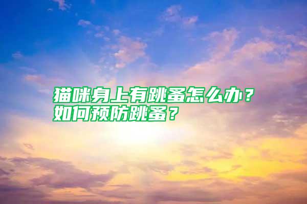 貓咪身上有跳蚤怎么辦？如何預防跳蚤？
