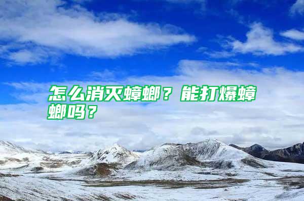 怎么消滅蟑螂？能打爆蟑螂嗎？