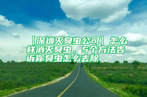 【深圳滅臭蟲公司】怎么樣消滅臭蟲，5個方法告訴你臭蟲怎么去除