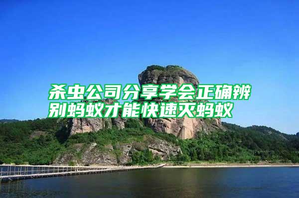 殺蟲公司分享學(xué)會正確辨別螞蟻才能快速滅螞蟻