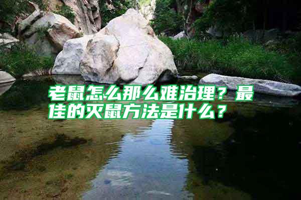 老鼠怎么那么難治理？最佳的滅鼠方法是什么？