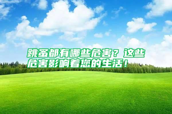 跳蚤都有哪些危害？這些危害影響著您的生活！