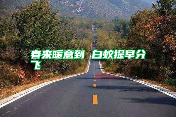 春來(lái)暖意到 白蟻提早分飛