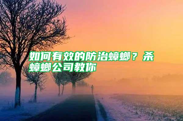 如何有效的防治蟑螂？殺蟑螂公司教你