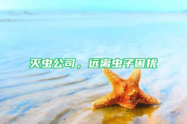 滅蟲公司，遠離蟲子困擾