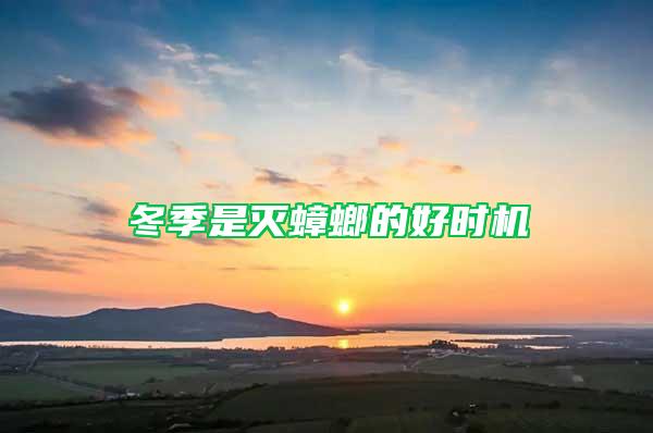 冬季是滅蟑螂的好時(shí)機(jī)