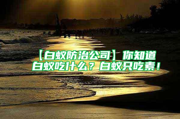 【白蟻防治公司】你知道白蟻吃什么？白蟻只吃素！