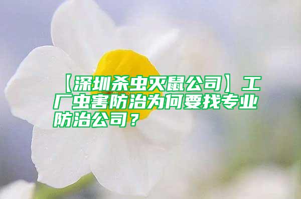 【深圳殺蟲滅鼠公司】工廠蟲害防治為何要找專業防治公司？