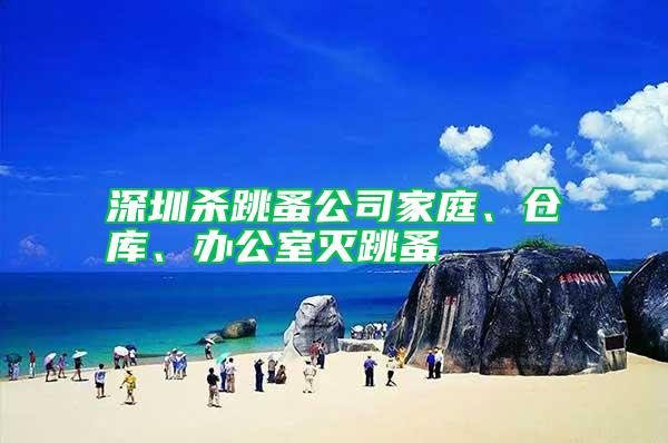 深圳殺跳蚤公司家庭、倉庫、辦公室滅跳蚤
