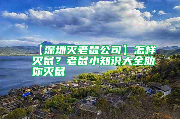【深圳滅老鼠公司】怎樣滅鼠？老鼠小知識大全助你滅鼠