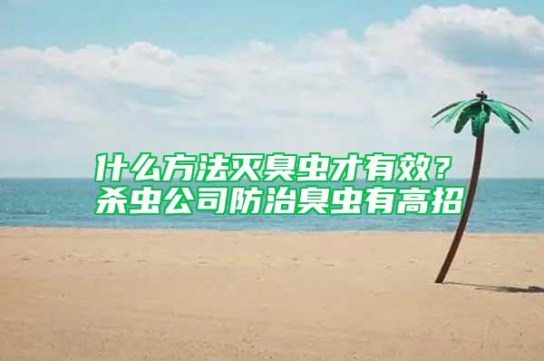 什么方法滅臭蟲(chóng)才有效？殺蟲(chóng)公司防治臭蟲(chóng)有高招