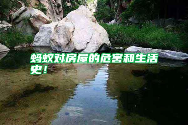 螞蟻對(duì)房屋的危害和生活史！