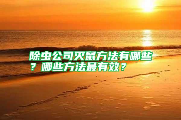 除蟲公司滅鼠方法有哪些？哪些方法最有效？