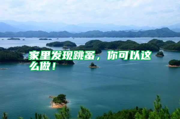 家里發現跳蚤，你可以這么做！