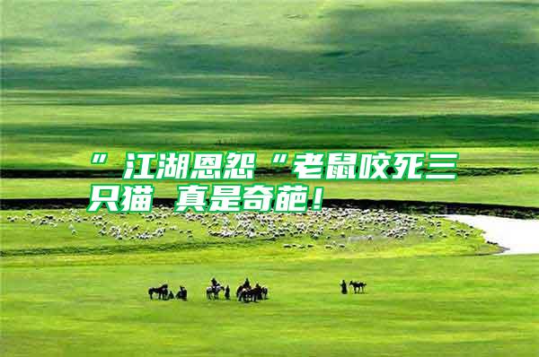 ”江湖恩怨“老鼠咬死三只貓 真是奇葩！