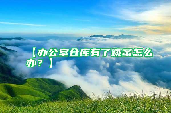 【辦公室倉庫有了跳蚤怎么辦？】