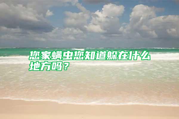 您家螨蟲(chóng)您知道躲在什么地方嗎？