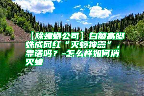 【除蟑螂公司】白額高腳蛛成網紅“滅蟑神器”，靠譜嗎？-怎么樣如何消滅蟑