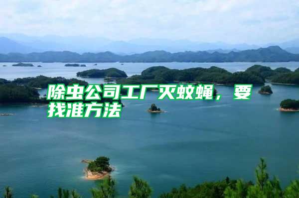 除蟲公司工廠滅蚊蠅，要找準方法