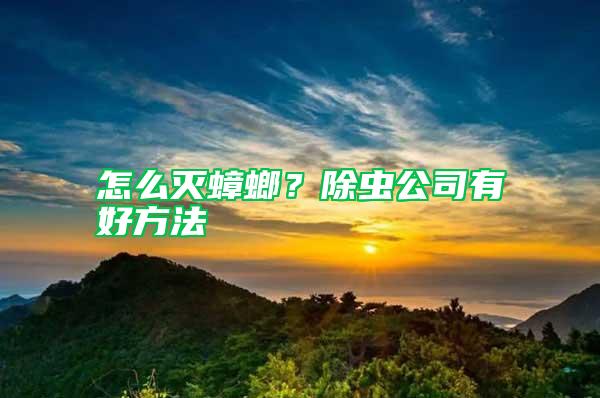 怎么滅蟑螂？除蟲公司有好方法