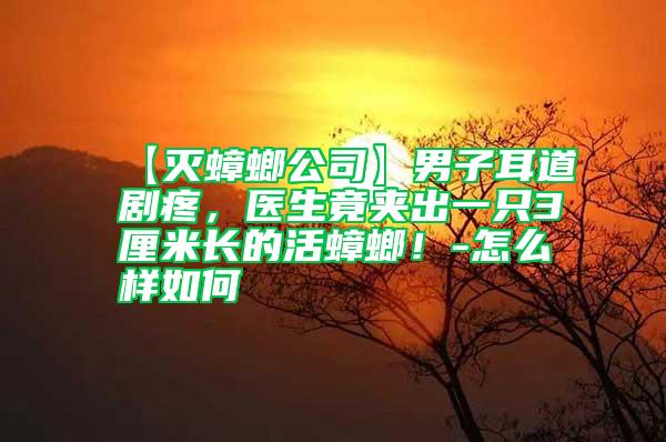 【滅蟑螂公司】男子耳道劇疼，醫生竟夾出一只3厘米長的活蟑螂！-怎么樣如何