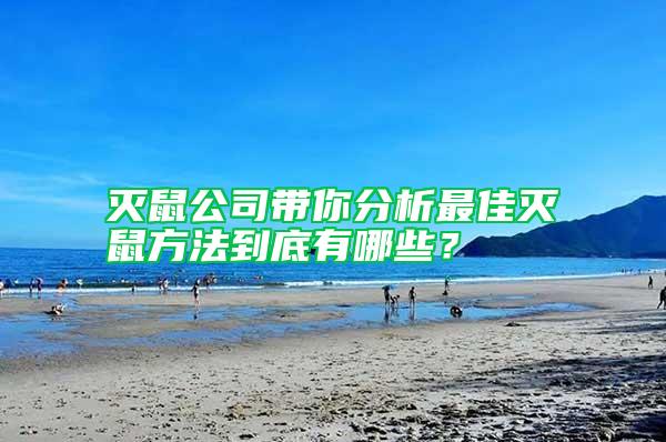滅鼠公司帶你分析最佳滅鼠方法到底有哪些？