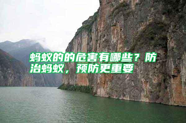 螞蟻的的危害有哪些？防治螞蟻，預(yù)防更重要