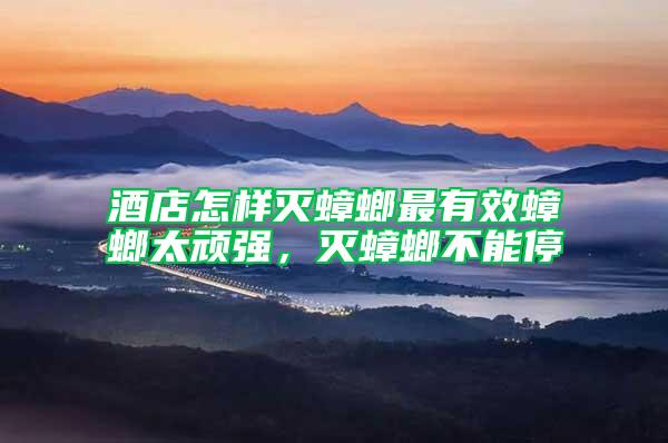 酒店怎樣滅蟑螂最有效蟑螂太頑強(qiáng)，滅蟑螂不能停