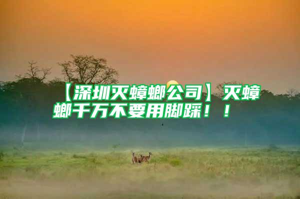 【深圳滅蟑螂公司】滅蟑螂千萬不要用腳踩?。?/></p>
             <p style=