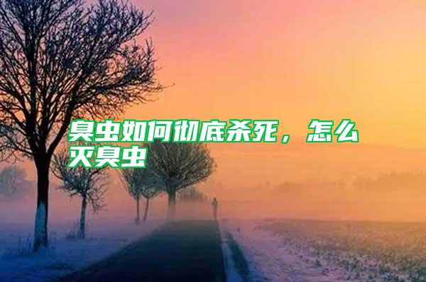 臭蟲如何徹底殺死，怎么滅臭蟲