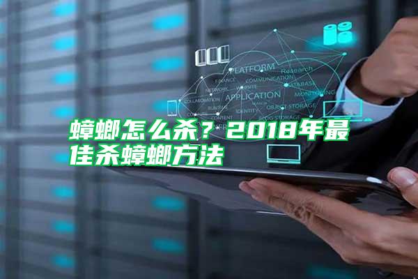 蟑螂怎么殺？2018年最佳殺蟑螂方法