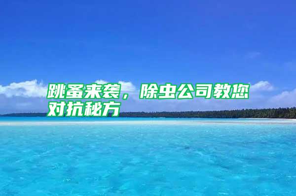 跳蚤來襲，除蟲公司教您對(duì)抗秘方