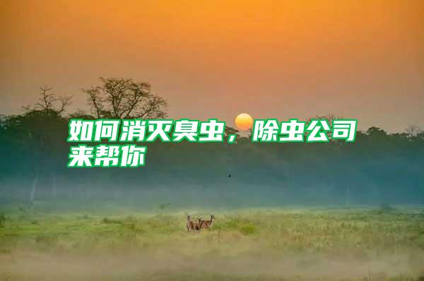 如何消滅臭蟲，除蟲公司來幫你