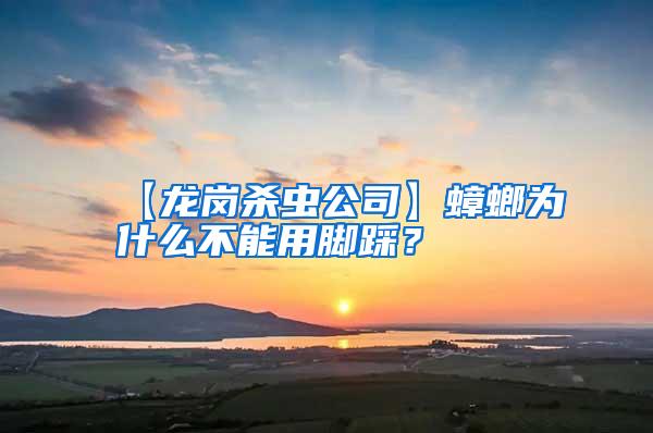 【龍崗殺蟲(chóng)公司】蟑螂為什么不能用腳踩？