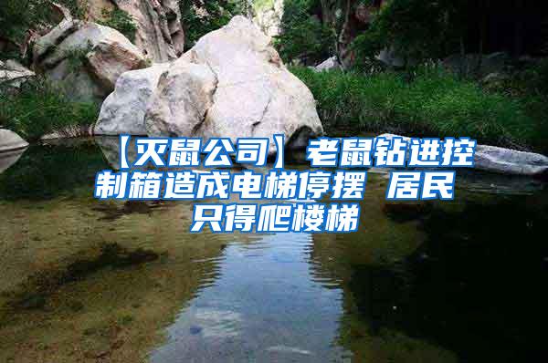 【滅鼠公司】老鼠鉆進(jìn)控制箱造成電梯停擺 居民只得爬樓梯
