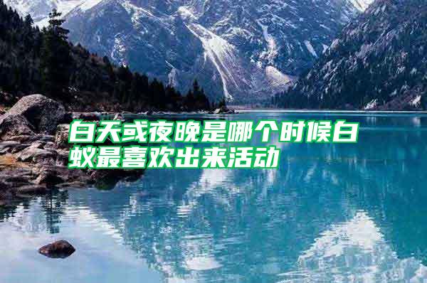 白天或夜晚是哪個(gè)時(shí)候白蟻?zhàn)钕矚g出來(lái)活動(dòng)