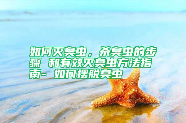 如何滅臭蟲(chóng)，殺臭蟲(chóng)的步驟 和有效滅臭蟲(chóng)方法指南- 如何擺脫臭蟲(chóng)