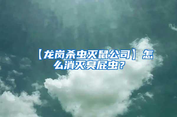 【龍崗殺蟲(chóng)滅鼠公司】怎么消滅臭屁蟲(chóng)？