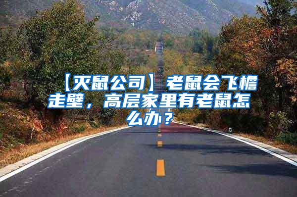 【滅鼠公司】老鼠會飛檐走壁，高層家里有老鼠怎么辦？