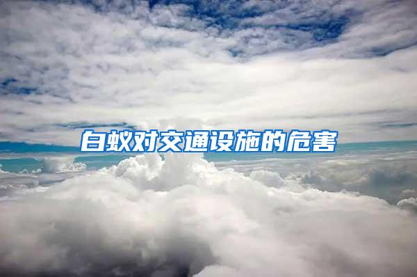 白蟻對(duì)交通設(shè)施的危害