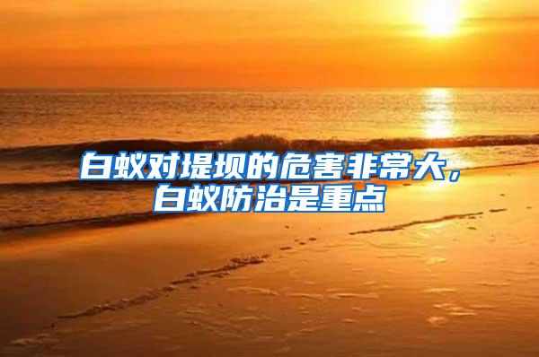 白蟻對堤壩的危害非常大，白蟻防治是重點(diǎn)