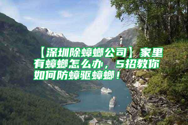 【深圳除蟑螂公司】家里有蟑螂怎么辦，5招教你如何防蟑驅蟑螂！