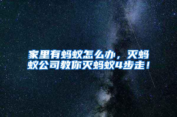 家里有螞蟻怎么辦，滅螞蟻公司教你滅螞蟻4步走！