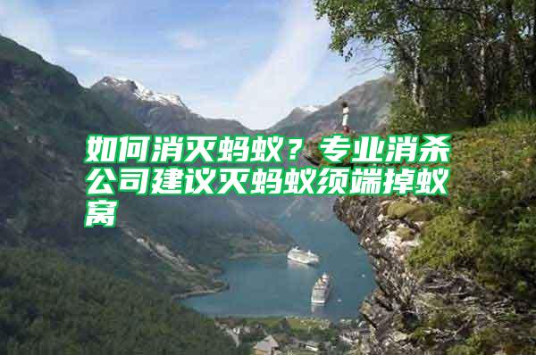 如何消滅螞蟻？專業(yè)消殺公司建議滅螞蟻須端掉蟻窩