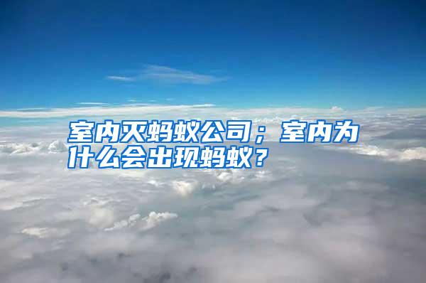 室內滅螞蟻公司；室內為什么會出現(xiàn)螞蟻？