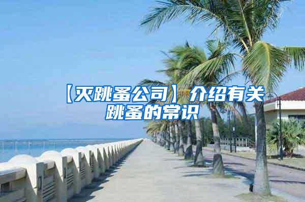 【滅跳蚤公司】介紹有關(guān)跳蚤的常識