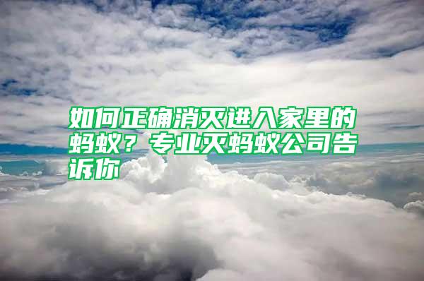 如何正確消滅進入家里的螞蟻？專業(yè)滅螞蟻公司告訴你
