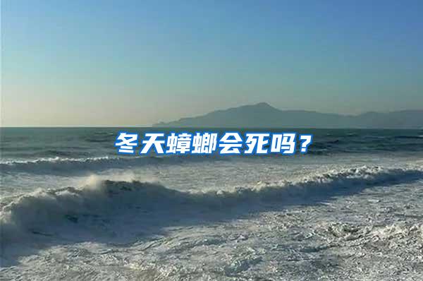 冬天蟑螂會(huì)死嗎？
