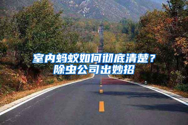 室內(nèi)螞蟻如何徹底清楚？除蟲(chóng)公司出妙招
