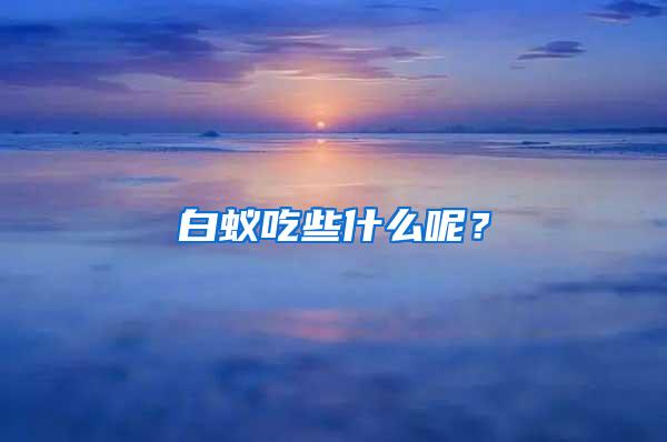 白蟻吃些什么呢？
